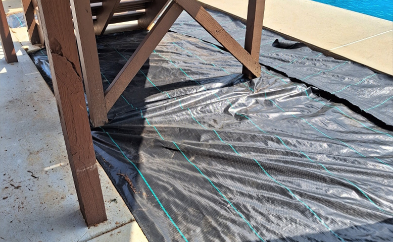 5 Budget-Friendly Garden Bed Designs You Can Implement Today