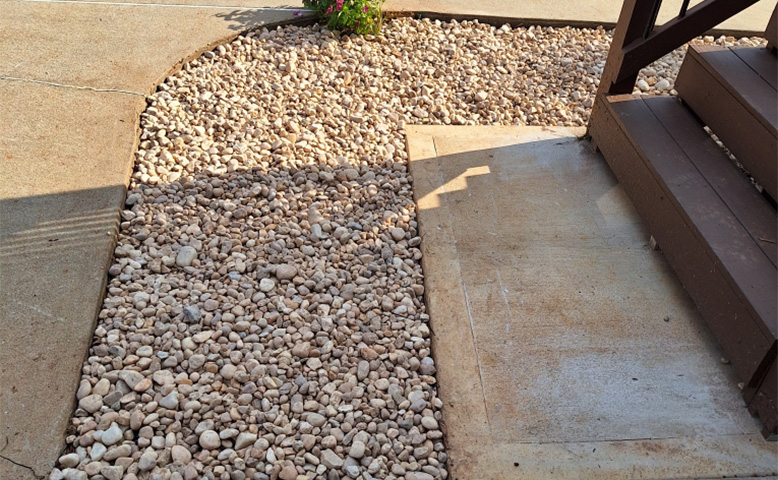 Curious About Shaping Hedges? Discover the Secrets of Artful Trimming