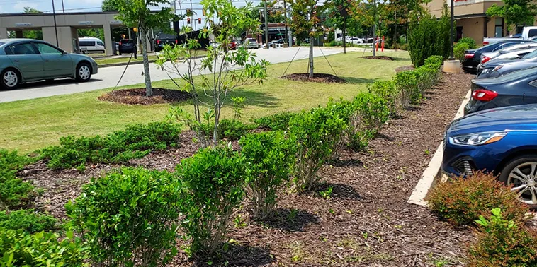 A parking lot with cars parked in front of trees.