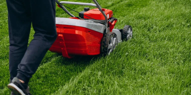 A person mowing the grass with a lawn mower.